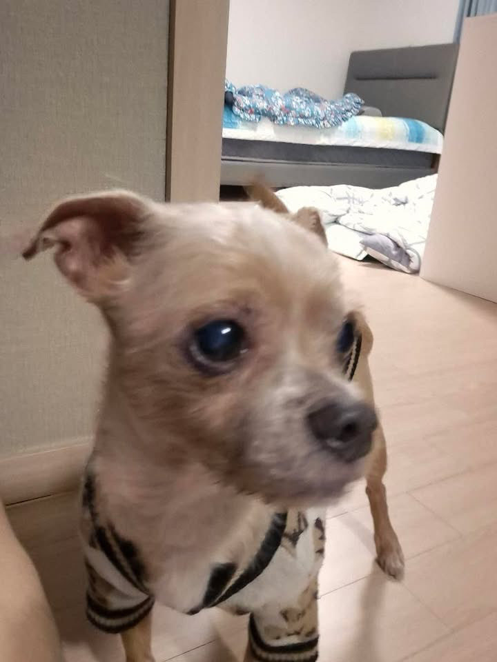 your bae tweet media