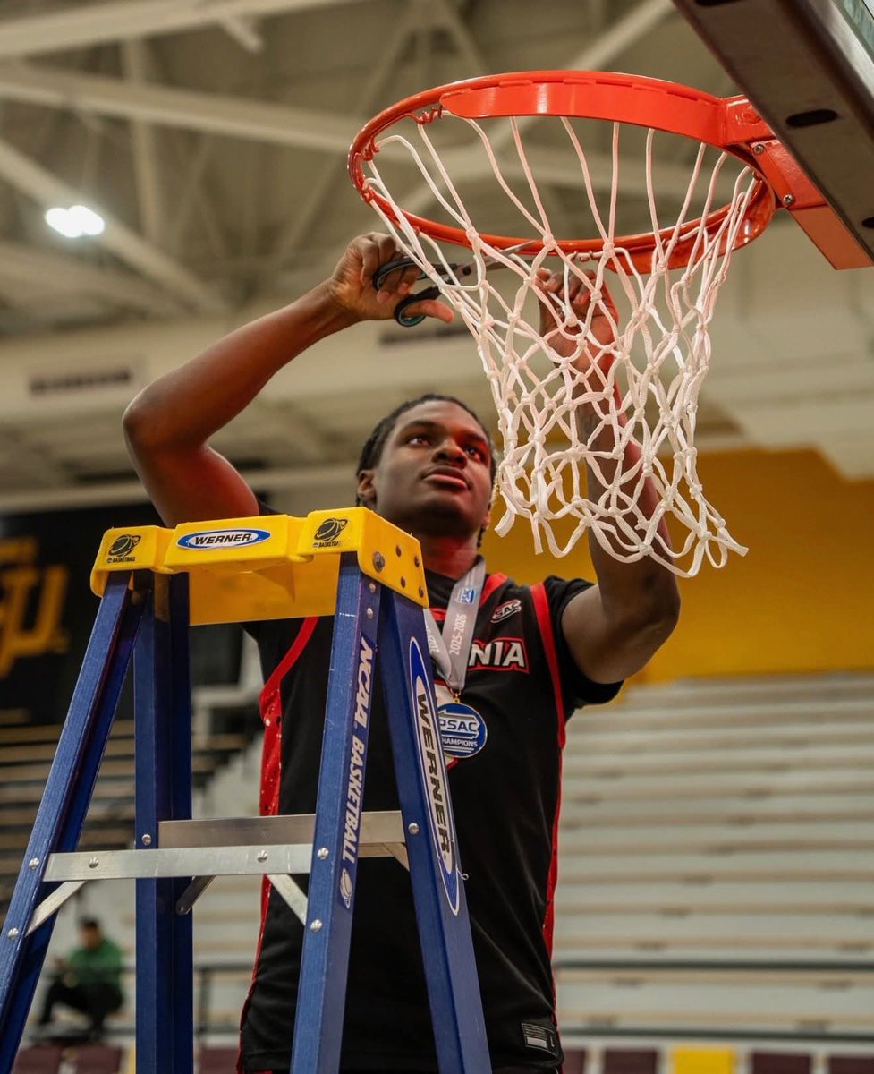 Bob Williams tweet media