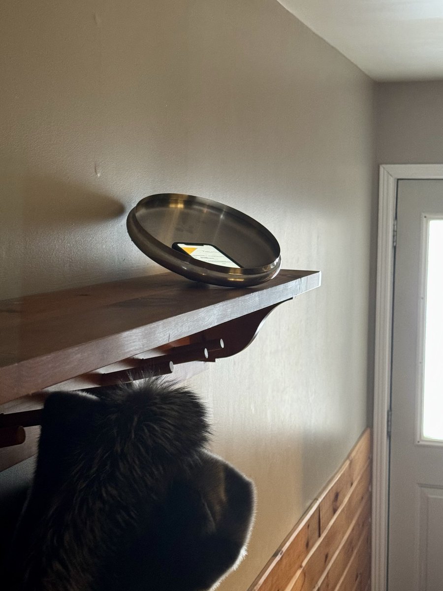 Jeff🐦 tweet media