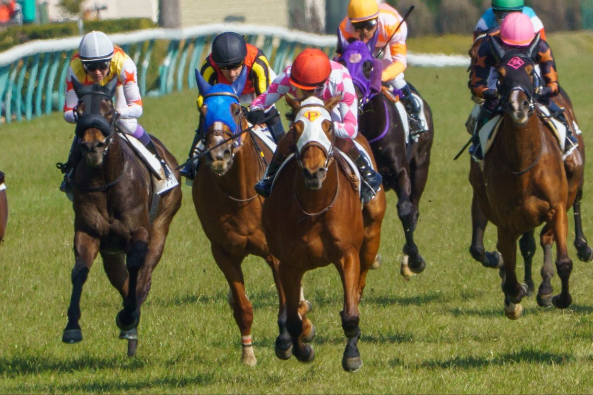 ピコレーシング tweet media