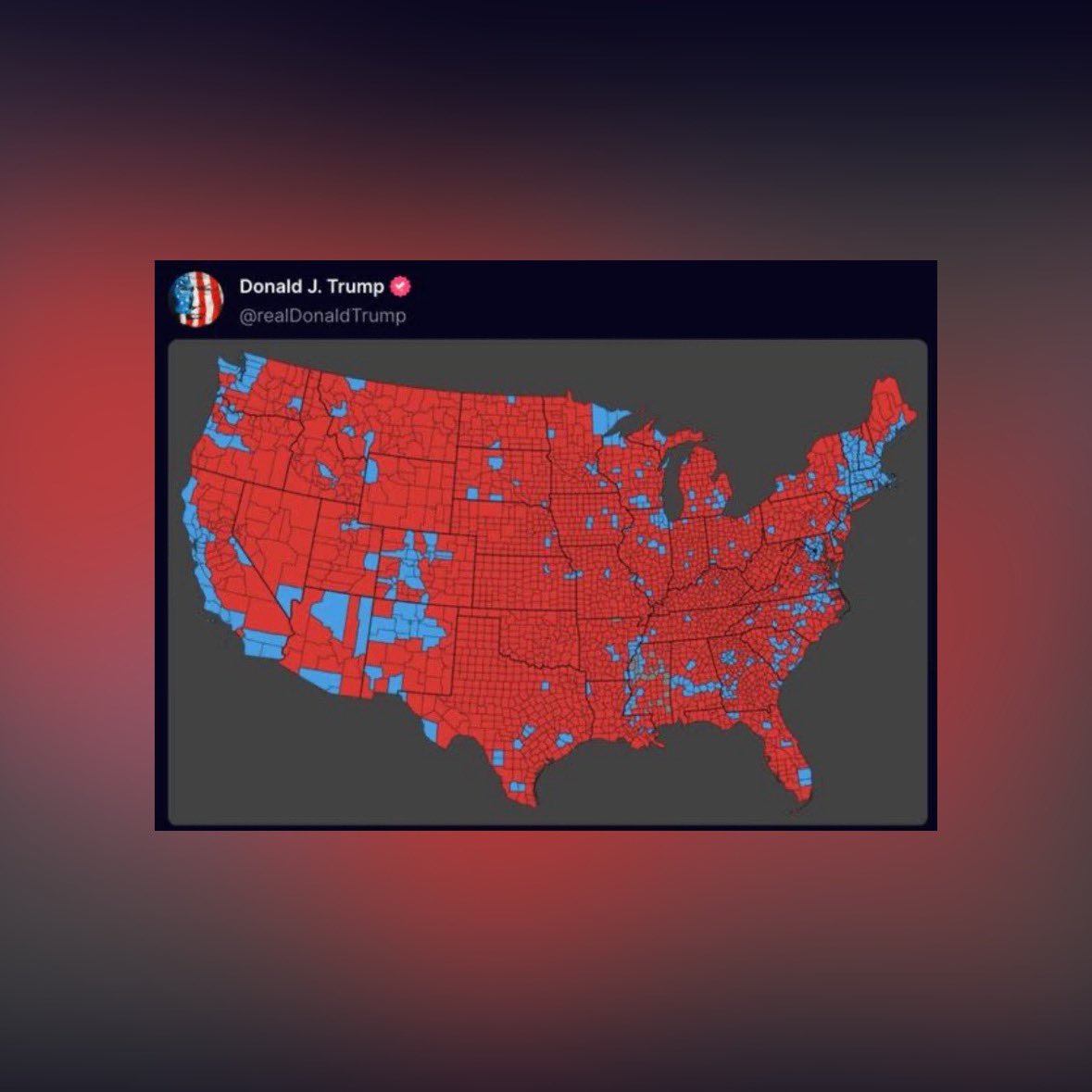 Tom Emmer tweet media