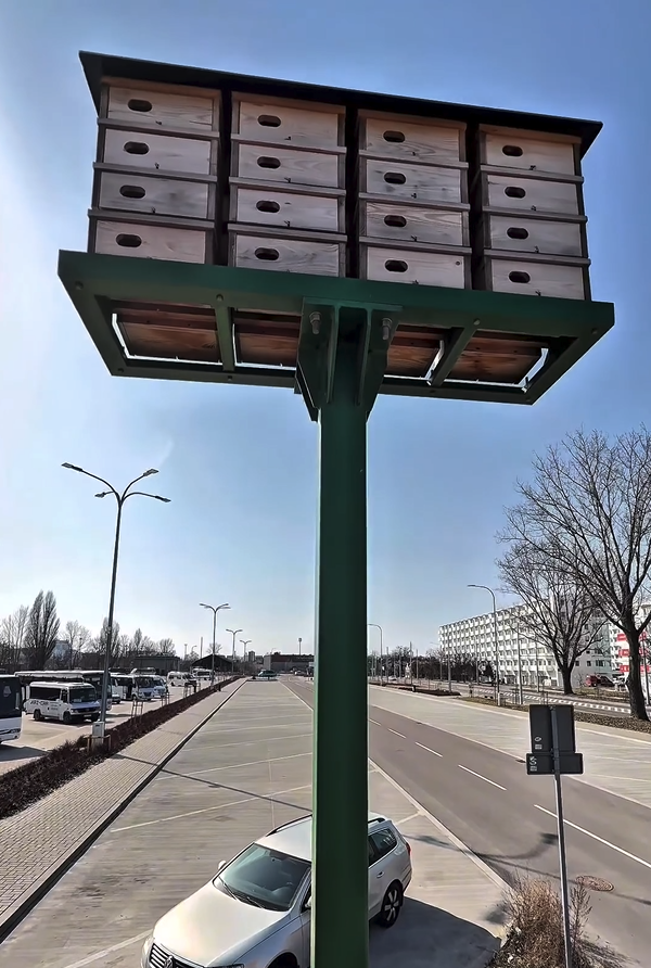 Miasto_Lublin's tweet photo. Wiosenne porządki ruszyły także w domkach dla jerzyków 🧹🐦 Aktualnie sprawdzamy konstrukcje budek, sprzątamy i zabezpieczamy wloty przed przybyciem innych ptaków. Pod koniec kwietnia domki przy ul. Krochmalnej i Lwowskiej będą gotowe na przybycie jerzyków💙
#Lublin #Jerzyk #Ptak https://t.co/DvSkQGO41i