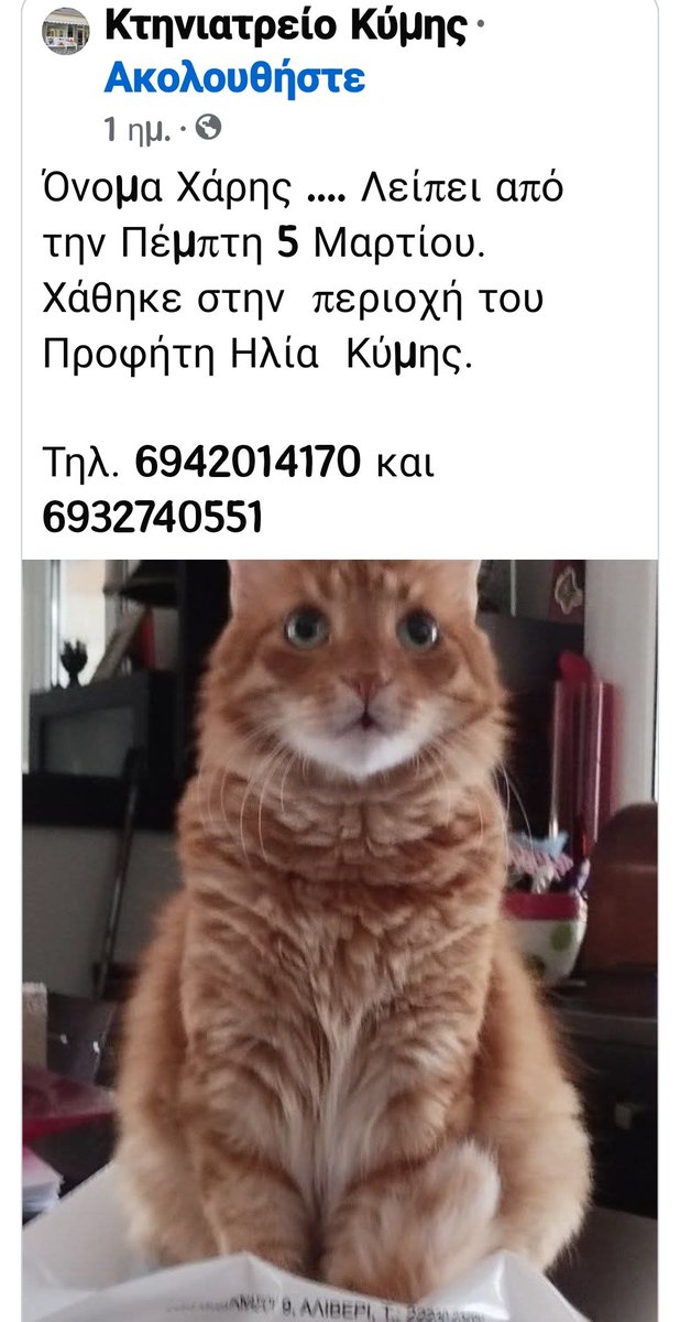 εφη απλα tweet media