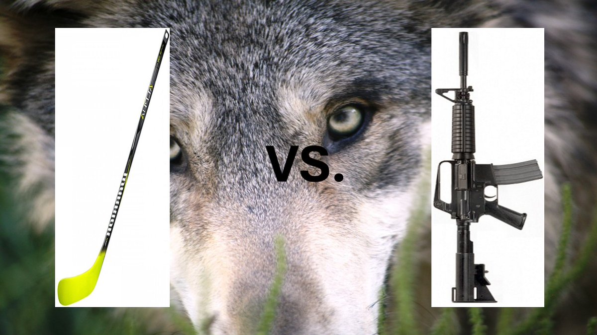 DFCWealth tweet media