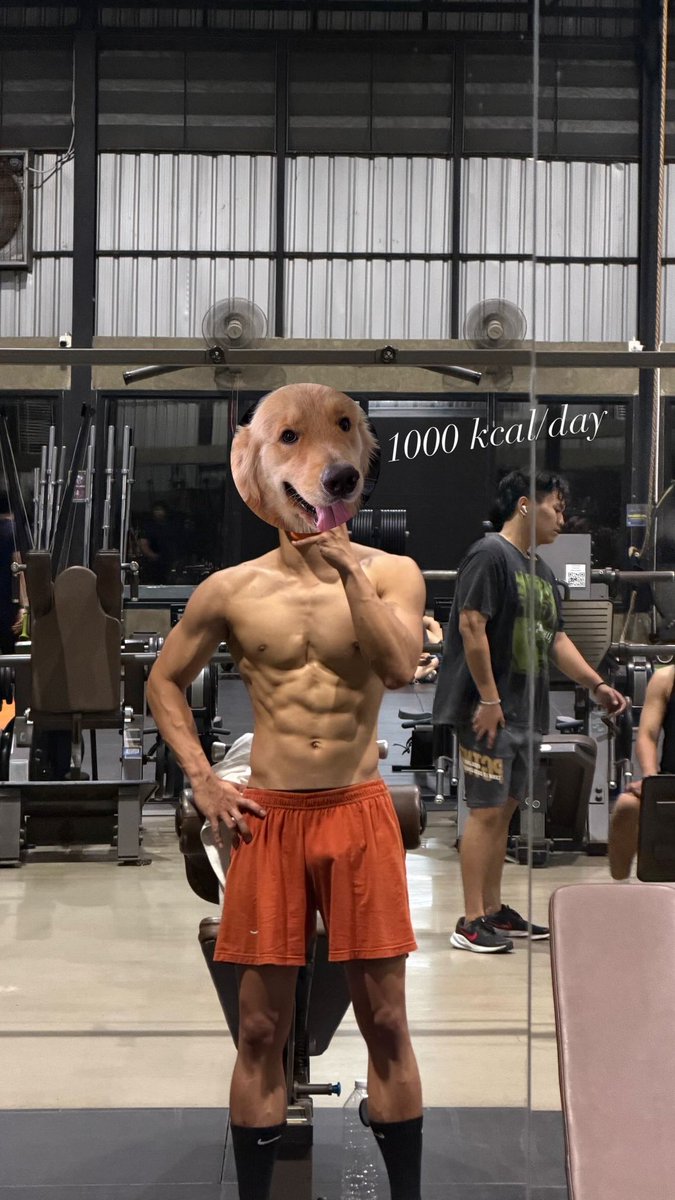 Ohmpawat (@ohmpawatt) on Twitter photo 