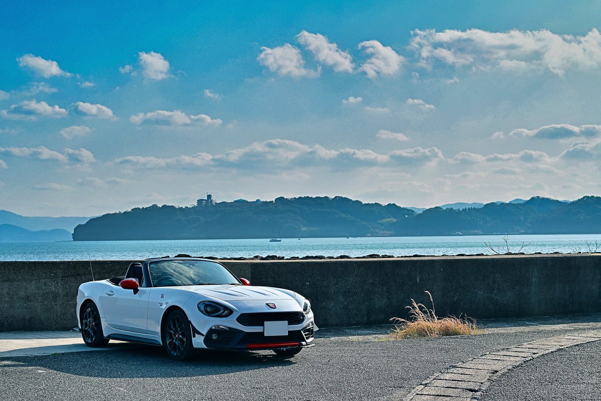 ねこさくら tweet media