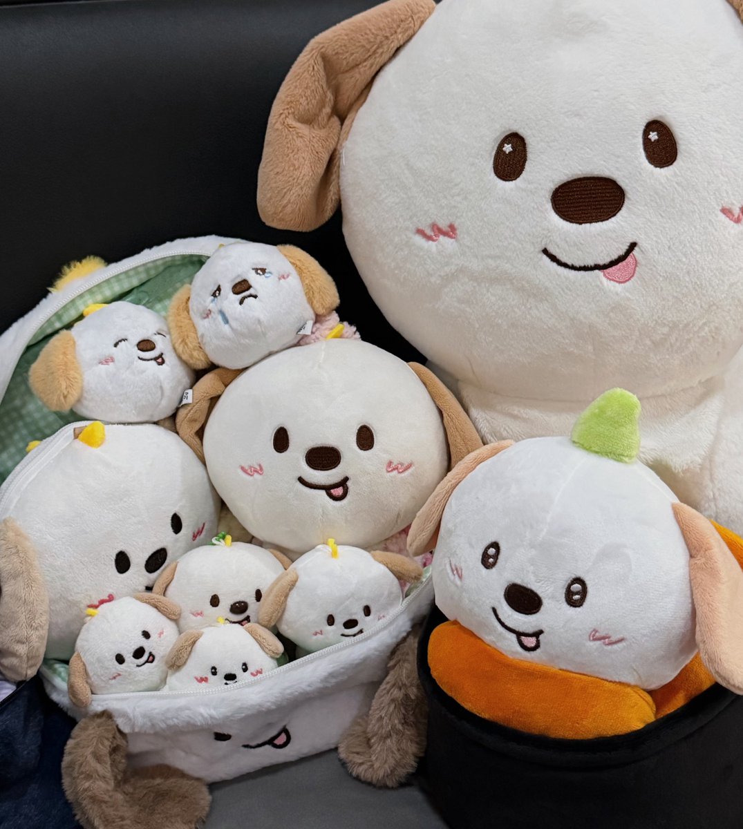 ✿🐶‧⁺◟(🍣) *:･ﾟ