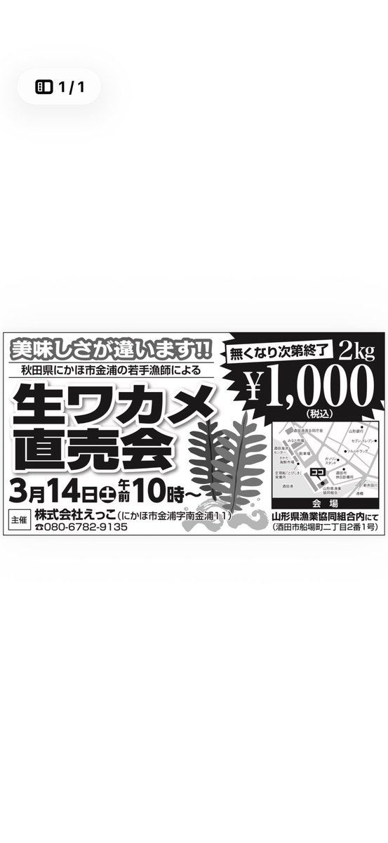 えっこ@秋田県最年少船長 tweet media