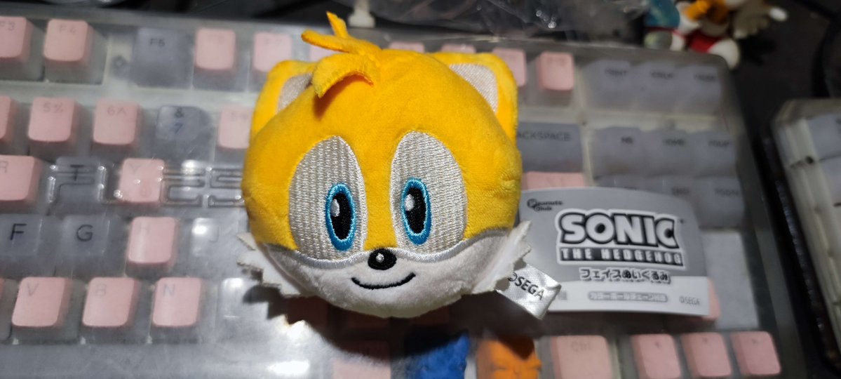 死月玲瓏@Ignister🔞💙💛 tweet media