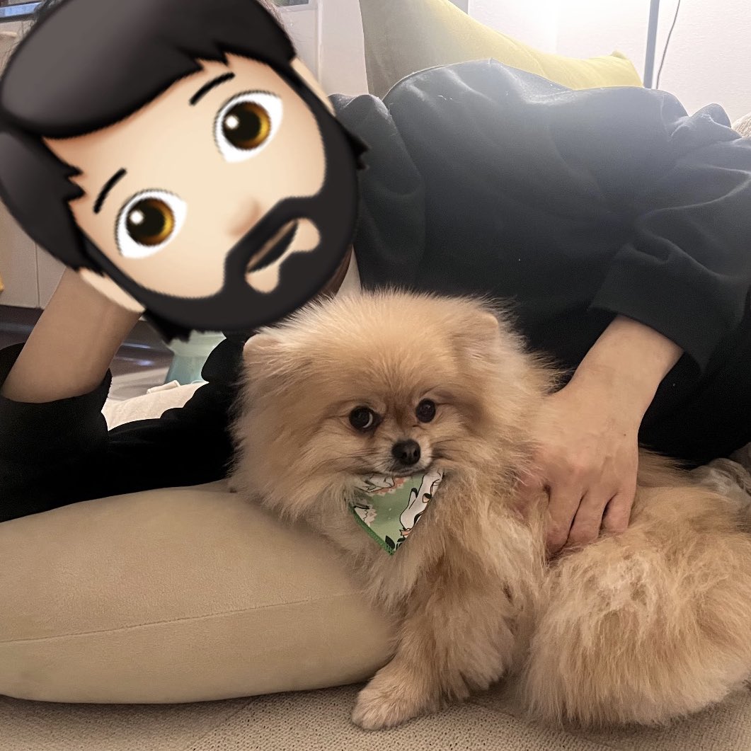 ぽんたと夢之介 tweet media