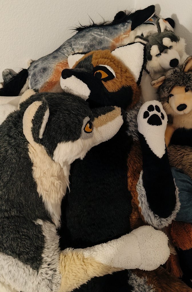 Shiro_Shep's tweet photo. @CerbrusNL The two in the center are a Wolf and Crossfox from @PlushLife_eu 

They're really cuddly. https://t.co/qBQHlSaUzb