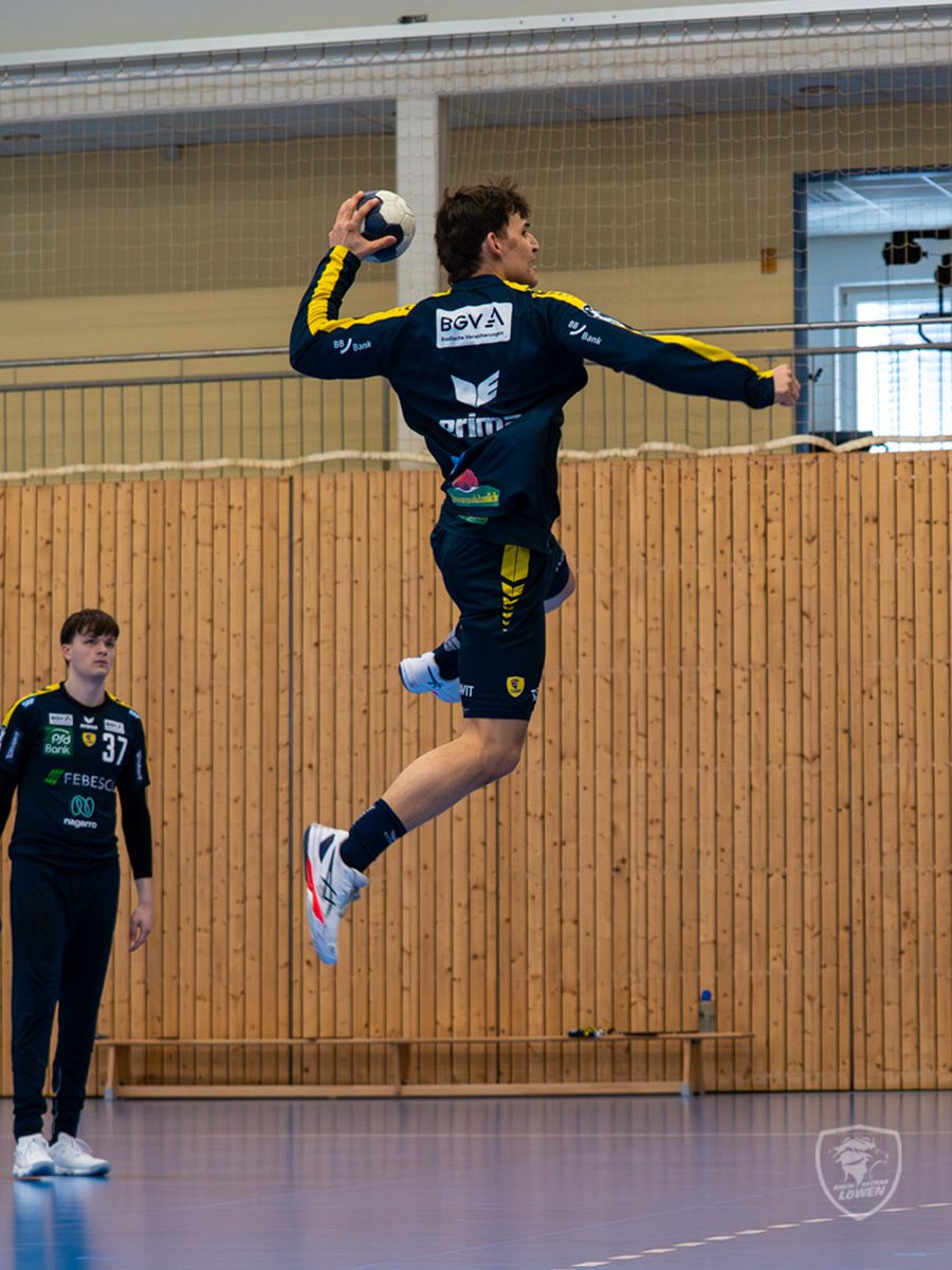 Rhein-Neckar Löwen tweet media