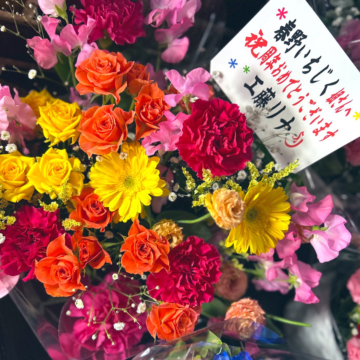 春野いちじく・◇・ tweet media