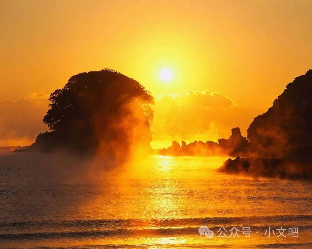 Mr.Xie Jiaqi tweet media