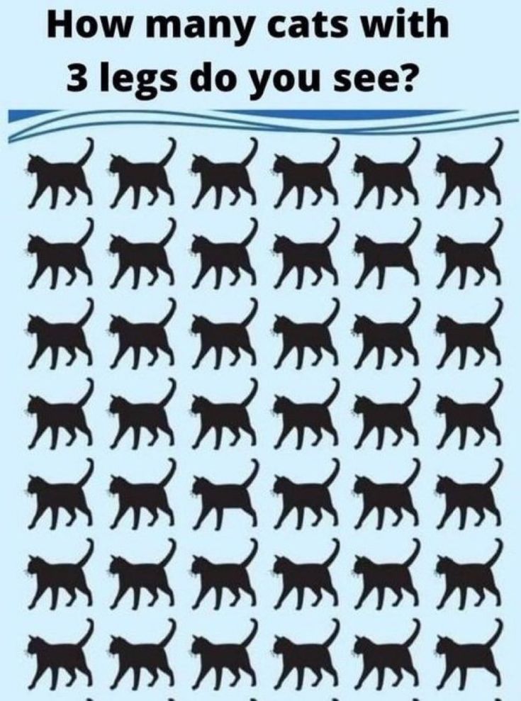 Emma 🇺🇸 tweet media