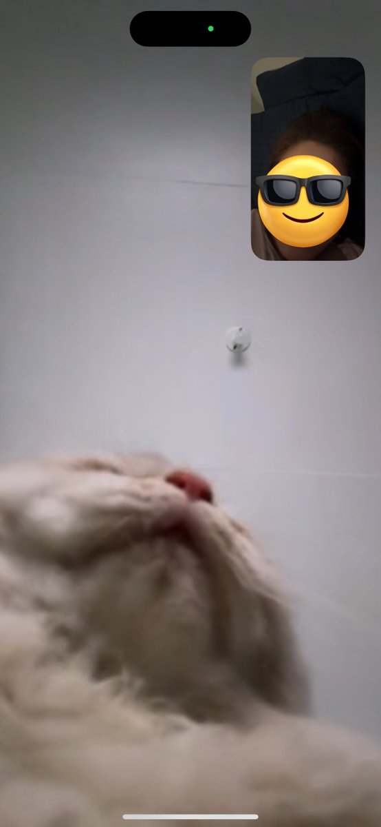 waffles 🧇 tweet media