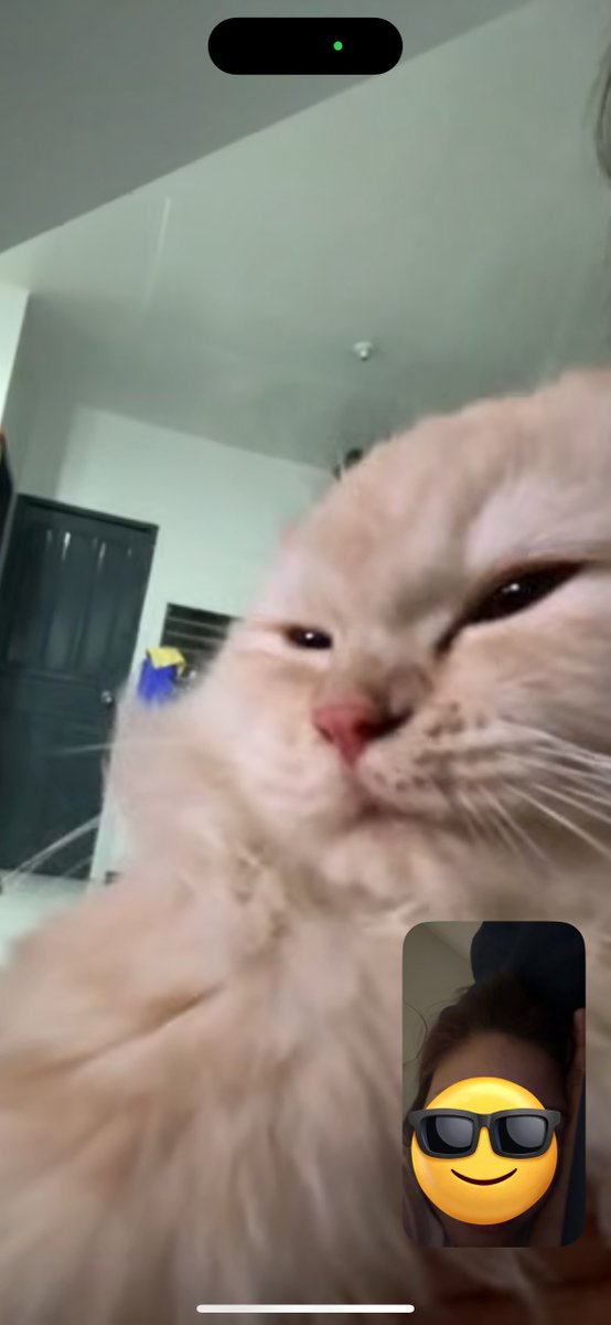 waffles 🧇 tweet media