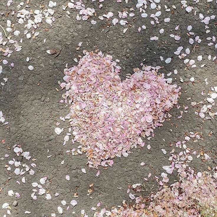 🐰 𝑇𝑜𝑘𝑘𝑖 키스 💋💋 (@_bunnykisses) on Twitter photo 