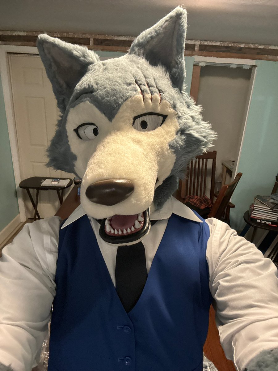 Moose (Differmitt) 🔜 TFF tweet media