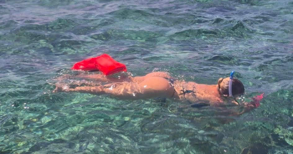 rylee rabbit tweet media