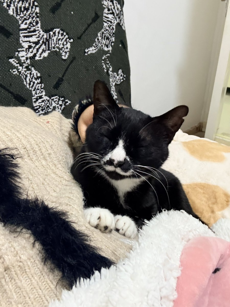 量角器 tweet media