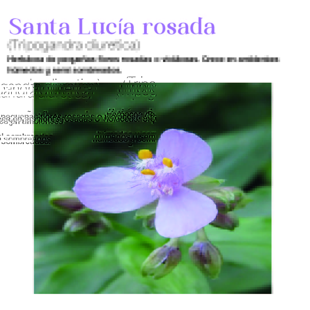 Arquitectura, Paisaje y Patrimonio tweet media