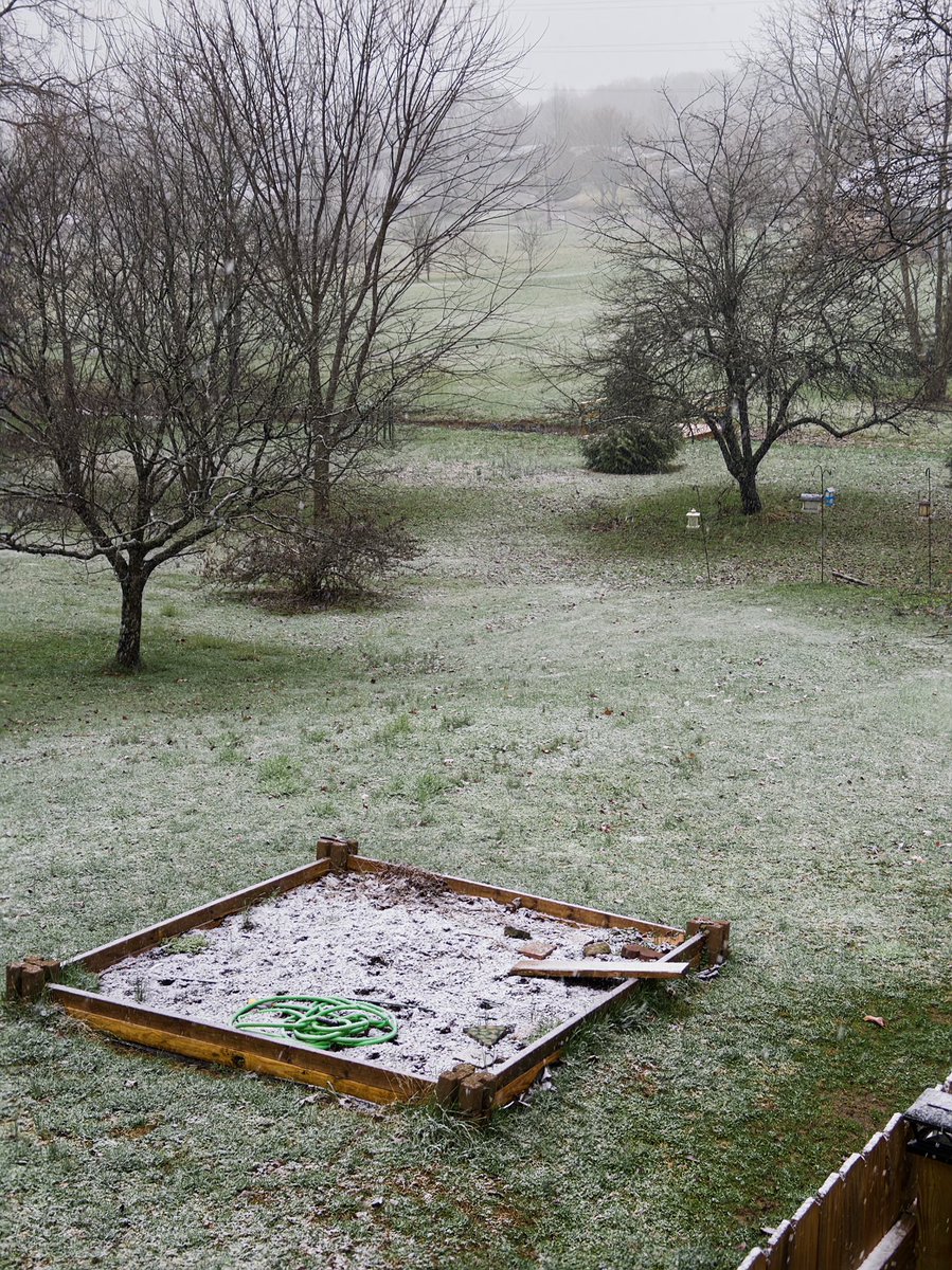 Michael Gibson tweet media