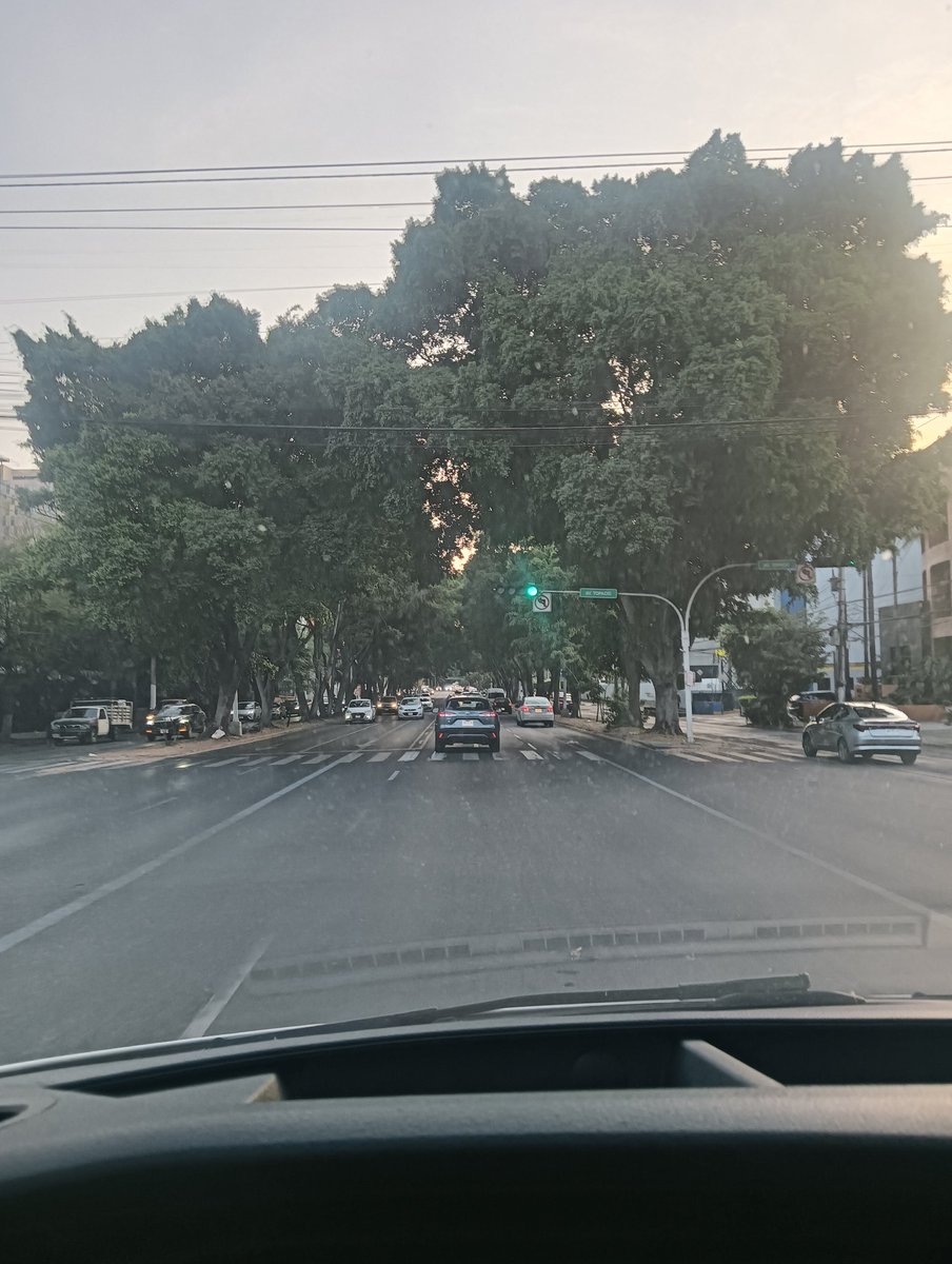 Octavio Saldivar tweet media