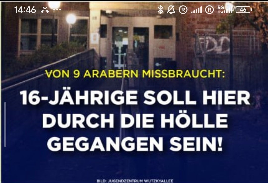 Petr Bystron tweet media