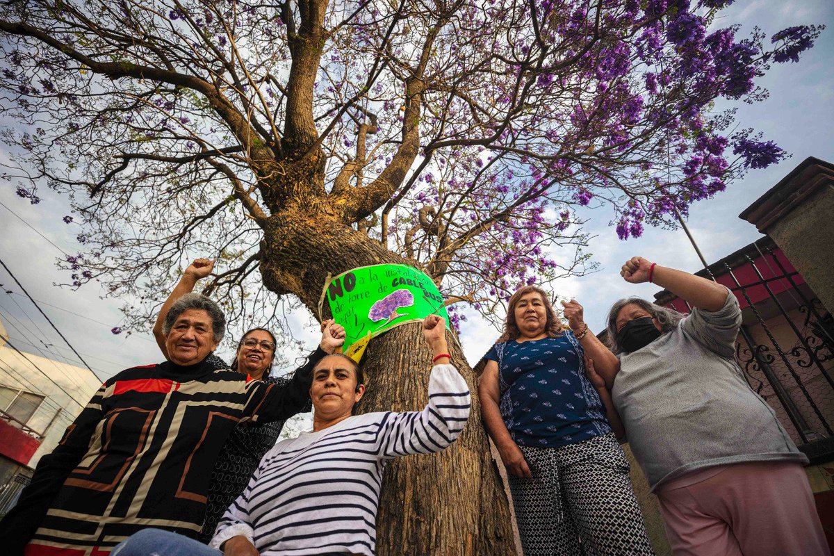 Mujeres y vecinos se organizan para frenar el megaproyecto de Cablebús en #Puebla, interponen amparos ante opacidad del gobierno de <a href="/armentapuebla_/">Alejandro Armenta</a> que negó la MIA 
En el reportaje, revelamos el mapa de las áreas verdes que el Cablebús podría a destruir
▶️sinembargo.mx/4776422/vecino…