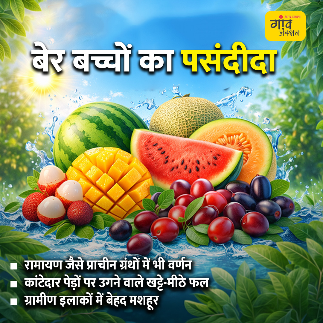 gaonjunctionofc's tweet image. चिलचिलाती गर्मी में शरीर को ठंडा और हाइड्रेटेड रखने के लिए मौसमी फल सबसे बेहतरीन विकल्प हैं। गर्मियों में इन फलों को डाइट में शामिल करके सेहत और हाइड्रेशन दोनों बनाए रखें।

#SummerFruits #HealthyEating #Hydration #SeasonalFruits 

gaonjunction.com