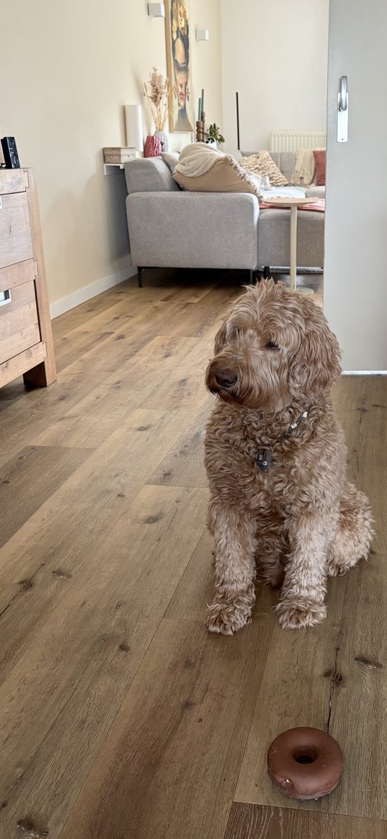 ⛰︎𝕏𝕏⛰︎ tweet media