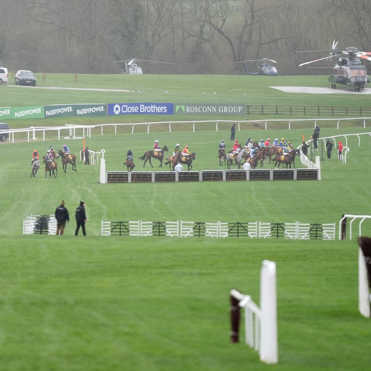 At The Races tweet media