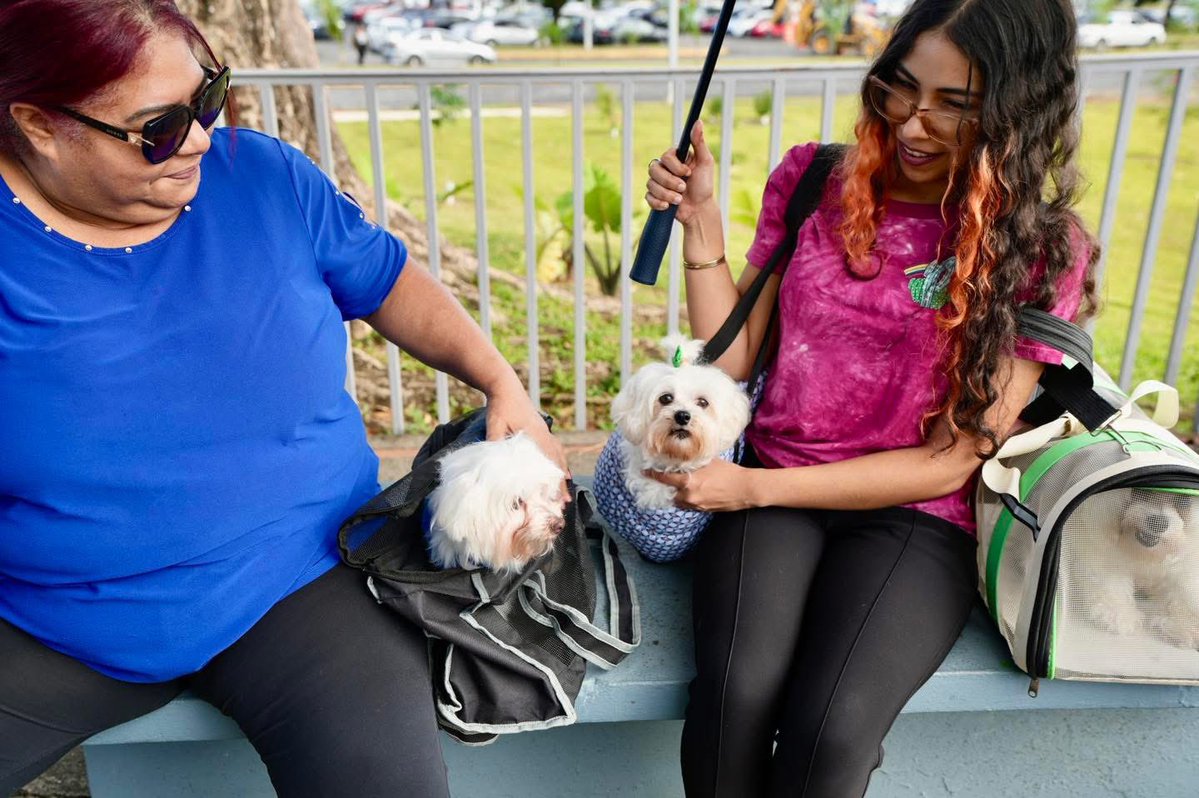 Remi Martin tweet media