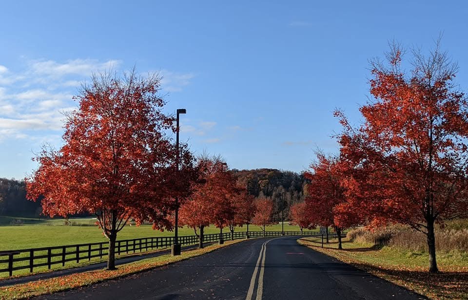 Kole Carter tweet media