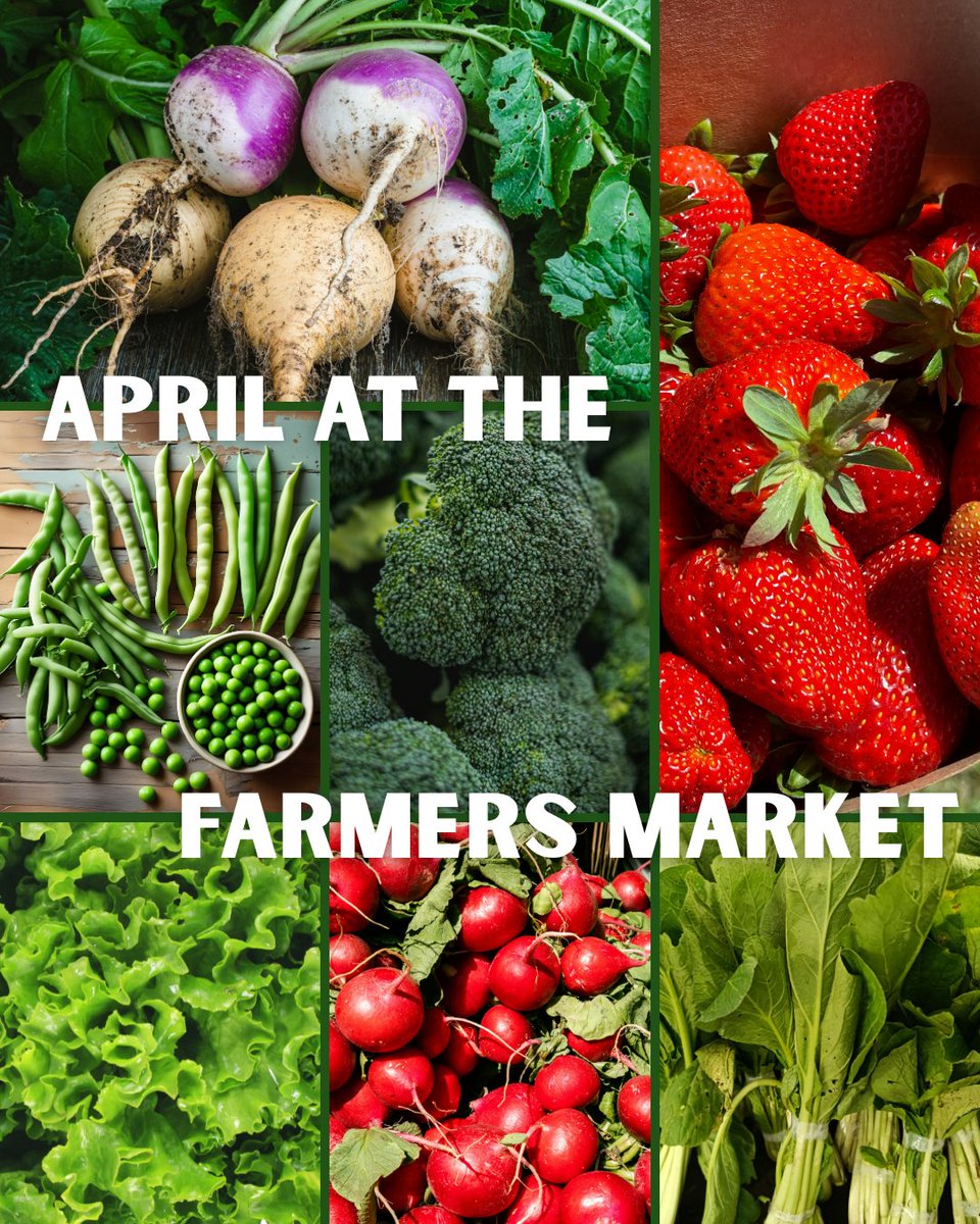 NCAgriculture's tweet image. It's officially April, which means new in-season products at farmers markets and roadside stands near you! 🎉

Keep an eye out for turnips, snow pea tips, romaine, radishes, mustard, broccoli and strawberries this month and support our local farmers. #BuyLocal #NCAgriculture