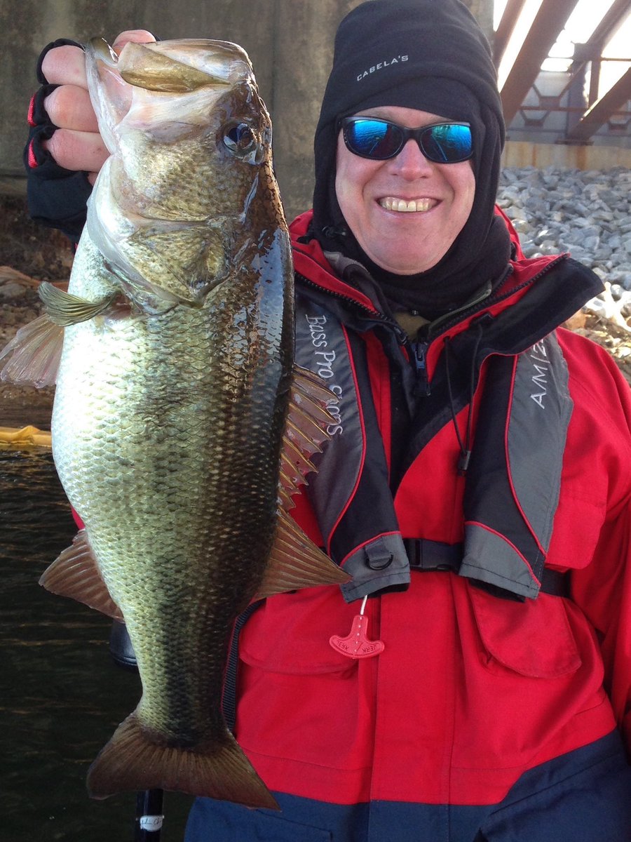 Tommy 🏆 tweet media