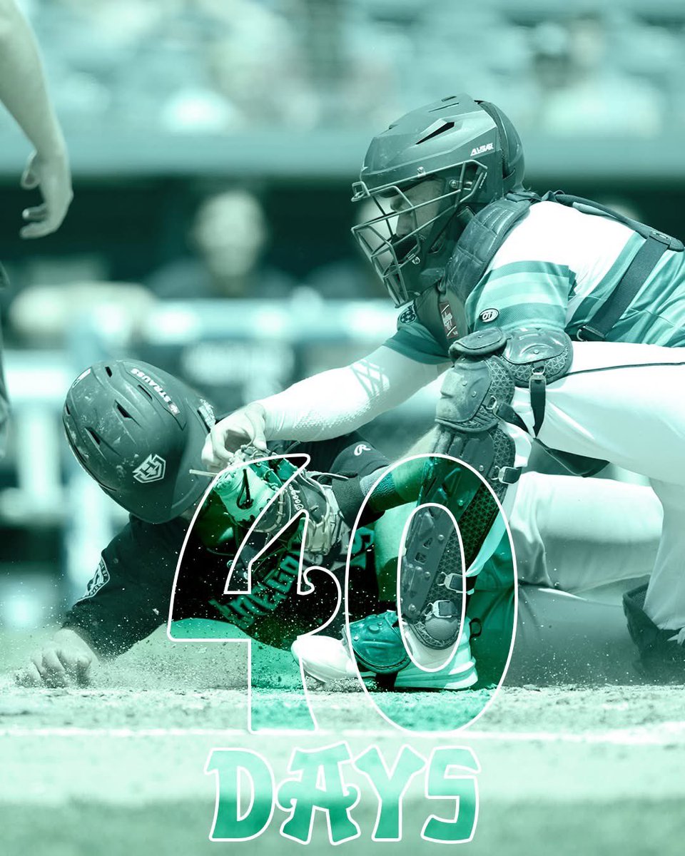 Asheville Tourists tweet media