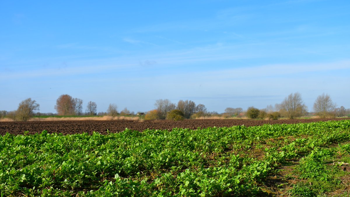 Zon, wolken en wind in Culemborg vanmorgen.
<a href="/weermanrobert/">➡️ Robert de Vries</a> <a href="/HartvNL/">Hart van Nederland</a> <a href="/weerverteller/">Weerverteller.nl</a> <a href="/MeteoVoorne/">Weerman Stefan</a> <a href="/BuienRadarNL/">Buienradar</a> #weer