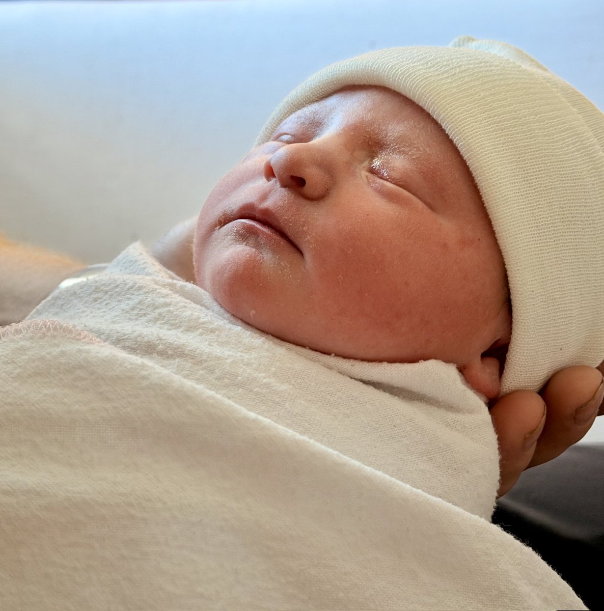 Troy Downing tweet media