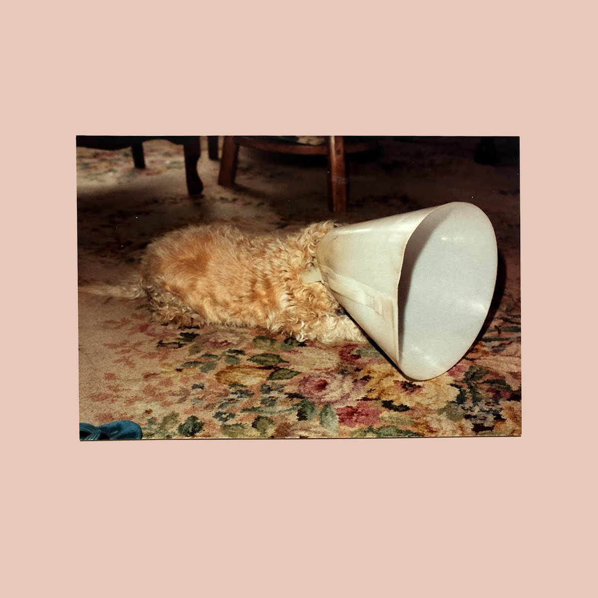 elquartblog tweet media