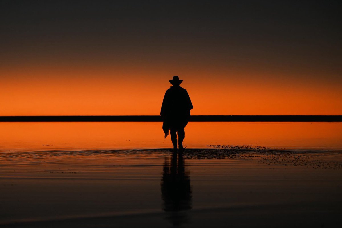 Dave Brosha tweet media