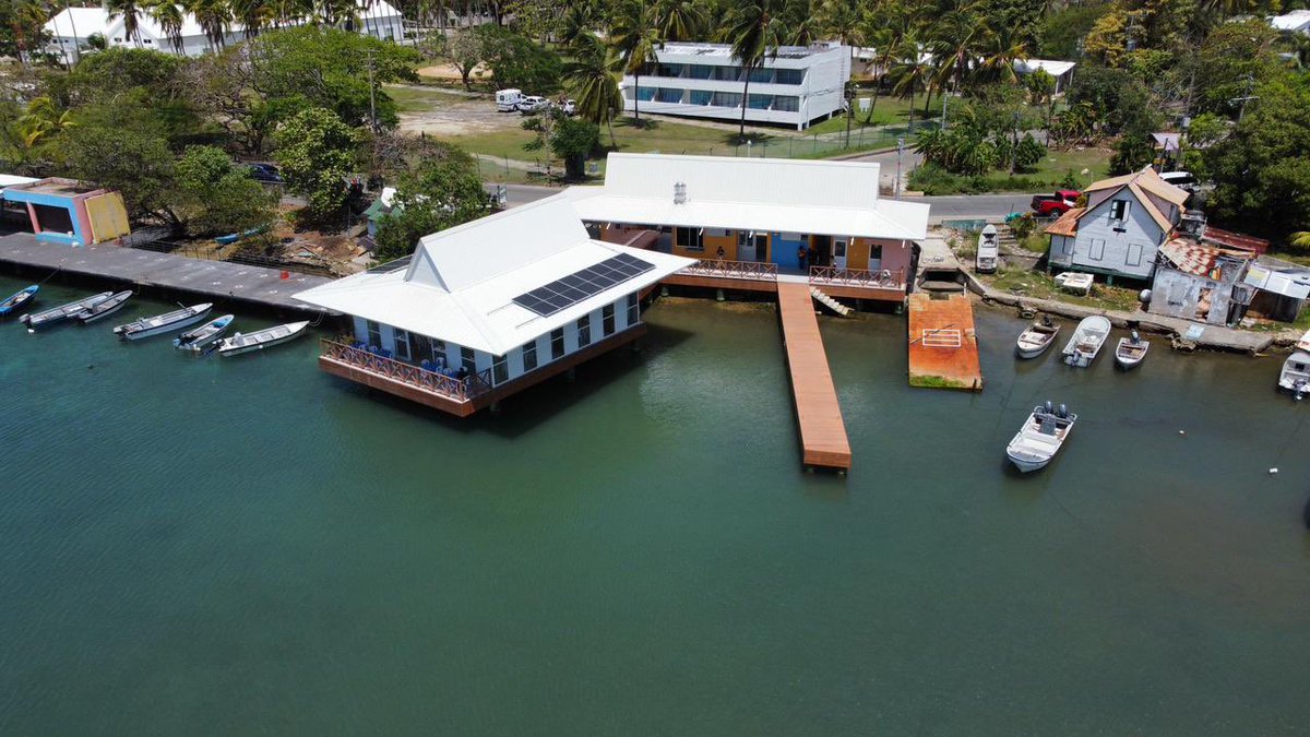 Mauricio Rodríguez Amaya tweet media