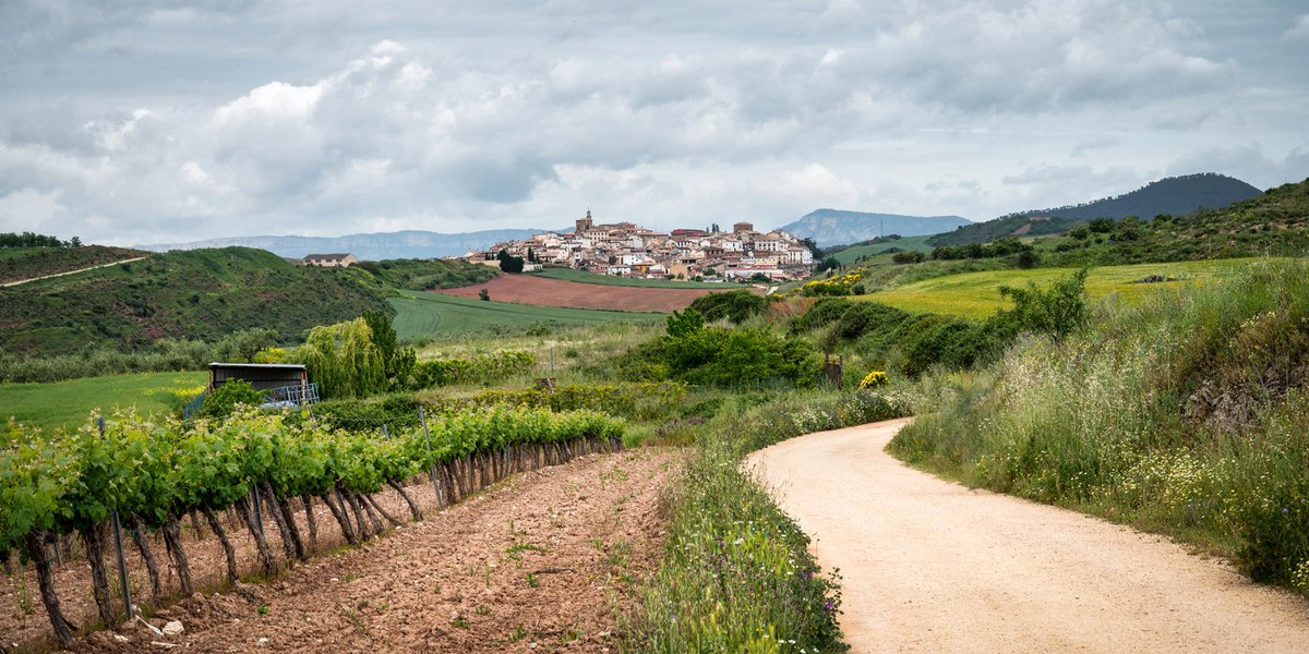 GoGetLostTours's tweet photo. Best of the Camino de Santiago Trail - https://t.co/qzmzzTeruQ https://t.co/XmZKYVo9lH