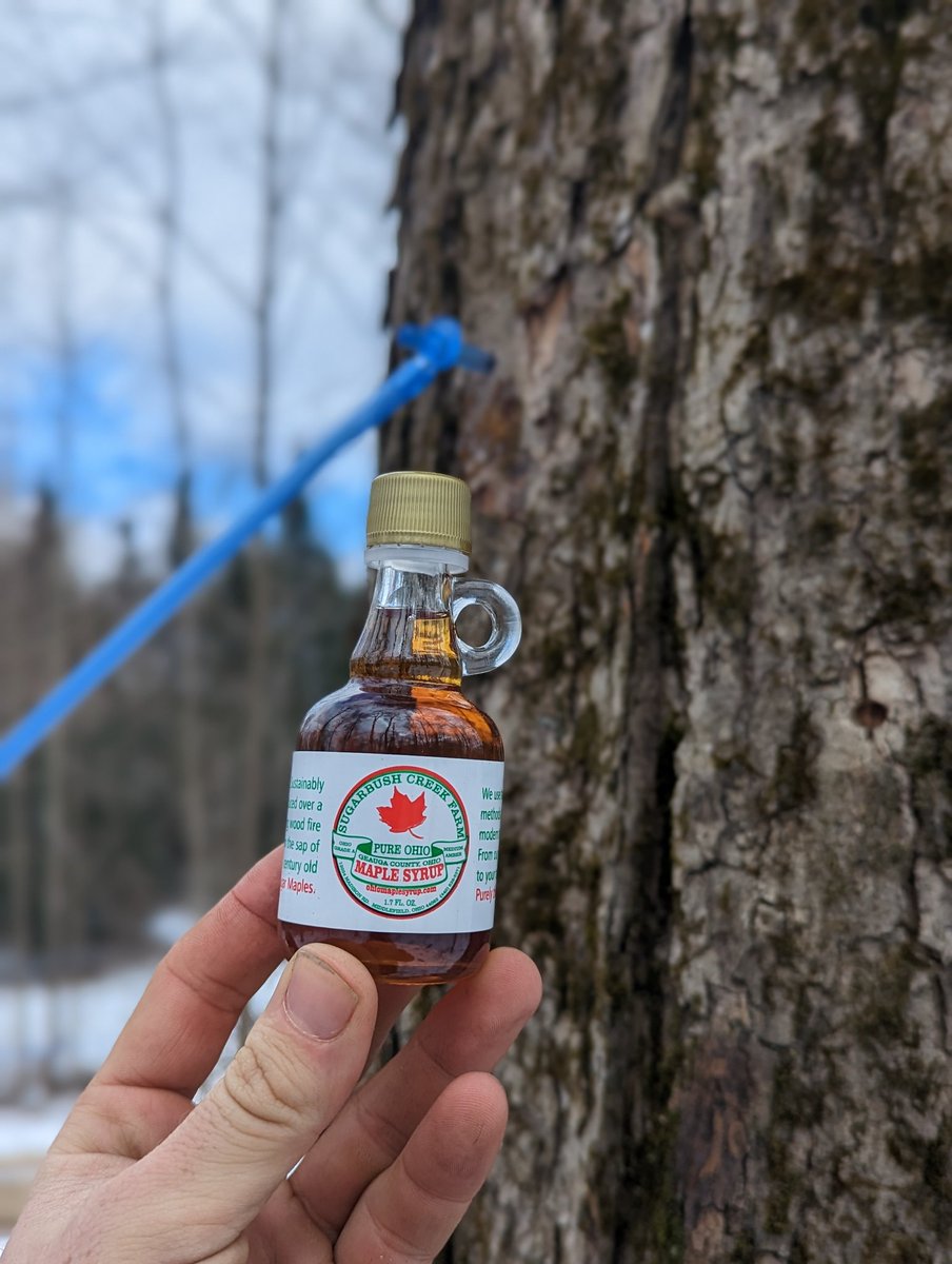 Sugarbush Creek Farm tweet media