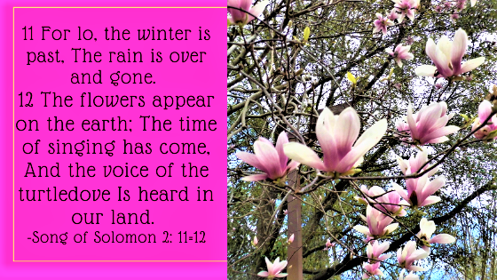 Dottie Lovelady Rogers tweet media