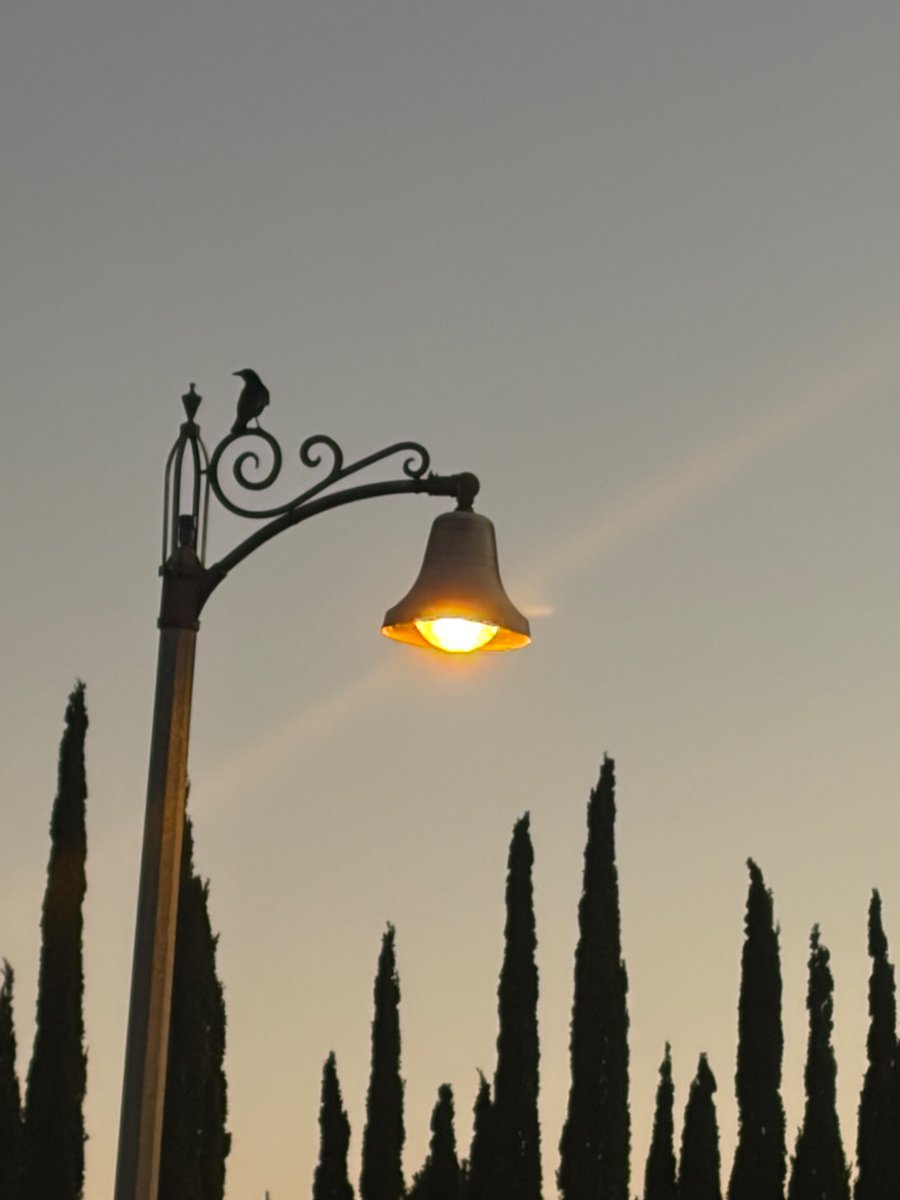 Courtney Ellis 🎈 tweet media