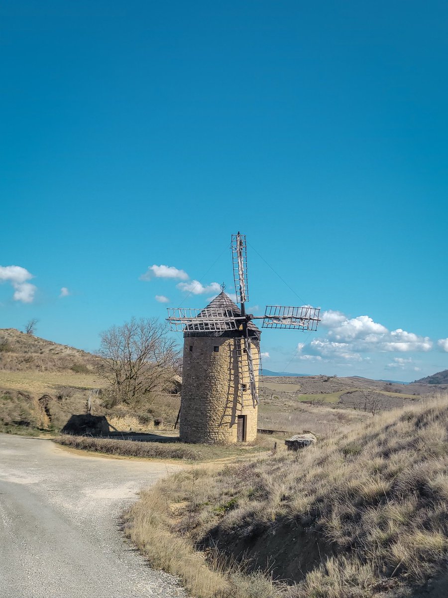 Ana.fase00 tweet media