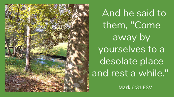 Dottie Lovelady Rogers tweet media