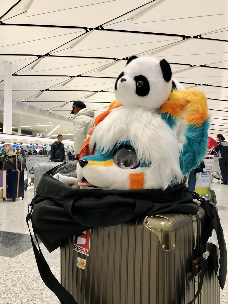 Felix|Chestnafox 🔜 🇹🇭 Thaitails 2026 tweet media